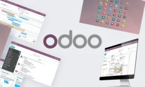 características de odoo